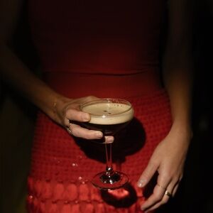 Meet your Posher, Ronnie